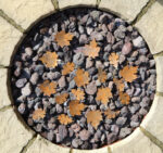 Autumn Leaves - Image 5