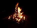 Fire Art - Christmas Tree - Image 4